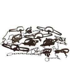 Total blake lamb for sale  Beaverton
