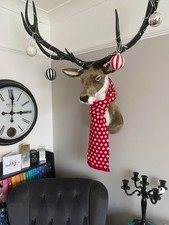 Faux taxidermy stag for sale  BODMIN