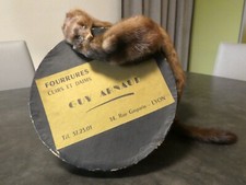 écharpe fourrure vison d'occasion  Seynod