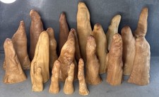 Lot cypress knees for sale  Tolleson