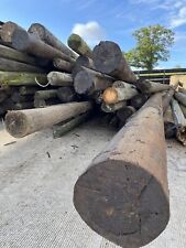 Telegraph poles pole for sale  BROMYARD