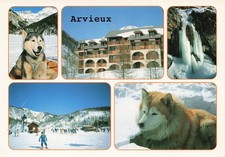 Arvieux pin cembro d'occasion  France