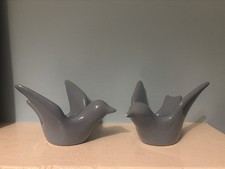 Teal colour bird for sale  SHREWSBURY