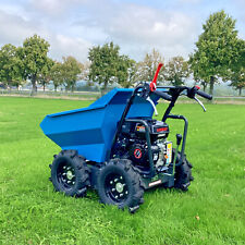 Mini dumper benzinmotor gebraucht kaufen  Penig