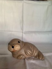 Thun raro foca usato  Paderno del Grappa