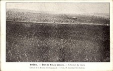 Ak Brasilien, Minas Geraes, Maisfeld - 4693623 comprar usado  Enviando para Brazil