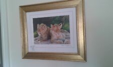 Tigers stephen gayford for sale  LEOMINSTER