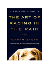 Art racing rain for sale  Arlington