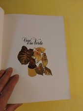 Cura tuo verde usato  Fano