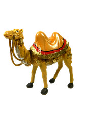 Cammello piedi per usato Cammello piedi per usato  Napoli