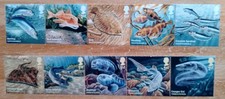 sturgeon fish for sale sturgeon fish for sale BRADFORD