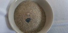 Strandsand saint peter gebraucht kaufen  Detmold