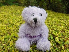 Cadbury teddy bear for sale  NEWCASTLE UPON TYNE