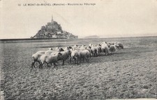 Mont saint michel d'occasion  Expédié en Belgium