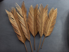 Große palmblätter naturmater gebraucht kaufen Große palmblätter naturmater gebraucht kaufen  Deutschland