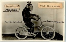 13291019 basel velo gebraucht kaufen  Deutschland