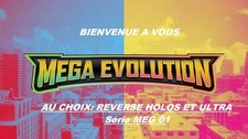 Choix cartes pokémon d'occasion  Cannes