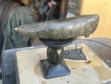 t rex fossil for sale t rex fossil for sale Clearfield