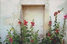 Photo toile fleurs d'occasion  Pons