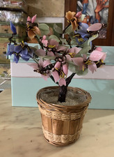 Bonsai vetro pianta usato  Gioia del Colle