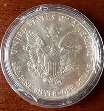 Moneta dollaro stati usato  Italia