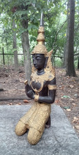 Tall large asian for sale  Bauxite