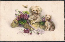 R171 puppy dogs d'occasion  Boisset-Saint-Priest