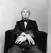 Andy warhol dog for sale  USA