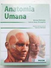 Anatomia umana usato  Arezzo