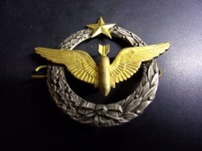 Aviation brevet pilote d'occasion  Gray