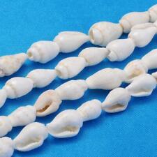 Trumpet shell beads for sale  UK