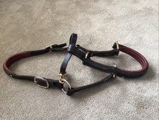Ecorider ultra comfort for sale  DARLINGTON