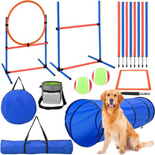 Pièces agility dog usato  Roma