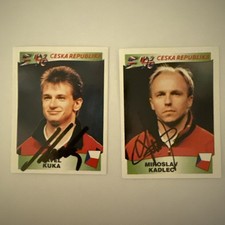 Panini sticker 1996 gebraucht kaufen  Cremlingen