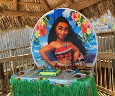 party backdrop for sale party backdrop for sale Leesburg