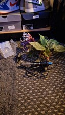 large aquarium for sale large aquarium for sale GLOUCESTER