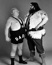 Big daddy giant for sale  COLCHESTER