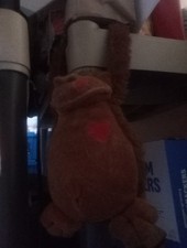 Stuff animal for sale  Bronx