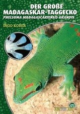 Große madagaskar taggecko gebraucht kaufen Große madagaskar taggecko gebraucht kaufen  Berlin