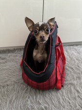 Dog cat transport for sale Dog cat transport for sale  SOUTHAMPTON