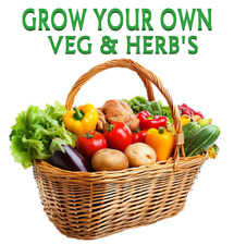 Vegetable seeds fresh for sale  ELY
