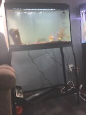 Fish tank for sale  Altamont