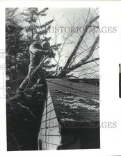 1991 press photo for sale  Memphis