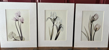 Set floral art for sale  Terre Haute
