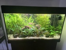 Juwel aquarium gebraucht kaufen  Hamburg