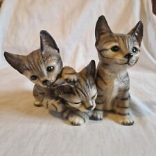 Vinage tabby kittens for sale  GAINSBOROUGH
