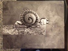 Anne geddes julia for sale  Lynchburg