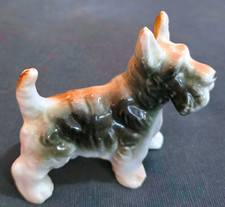 Unique mini puppy for sale  New Orleans