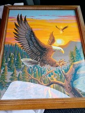 eagle picture bald eagle for sale eagle picture bald eagle for sale Sauk Centre