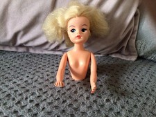 Vintage sindy 1960 for sale Vintage sindy 1960 for sale  HASSOCKS